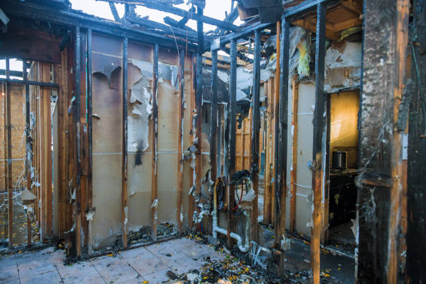Professional Fire Damage Removal technician working in Sandy Spring, MD